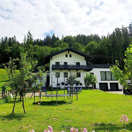 Ferienwohnung Kapar Pfarrwerfen Ngoại thất bức ảnh